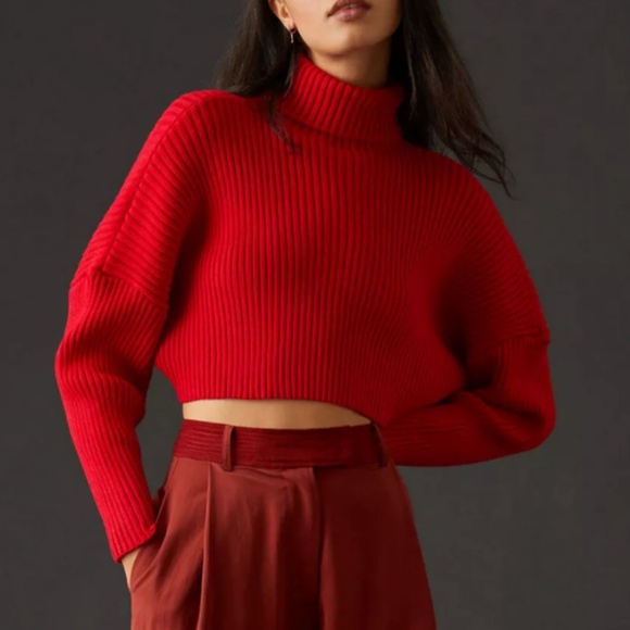 Bishop + Young Cropped Ribbed Turtleneck Sweater | Size Small | NWT - Picture 1 of 16